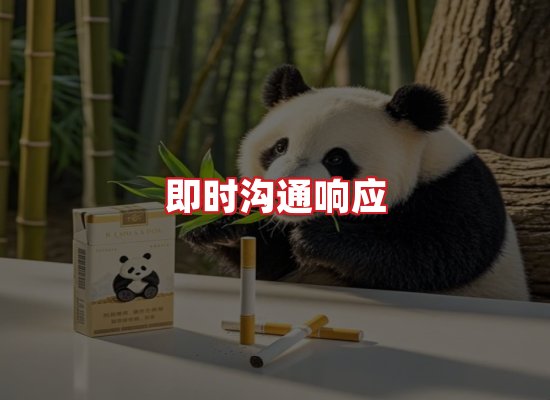 专业团队